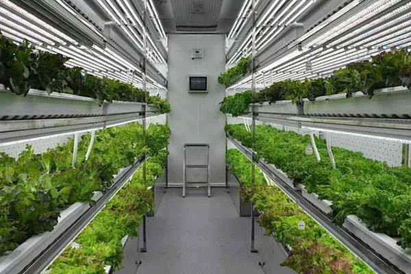 Agriculture
